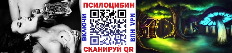 цены наркотик  Петропавловск-Камчатский  Галлюциногенные грибы прущие грибы 