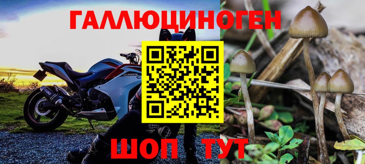 цены   Псилоцибиновые грибы Magic Shrooms  Петропавловск-Камчатский  Вход с VPN  Псилоцибиновые грибы прущие грибы 