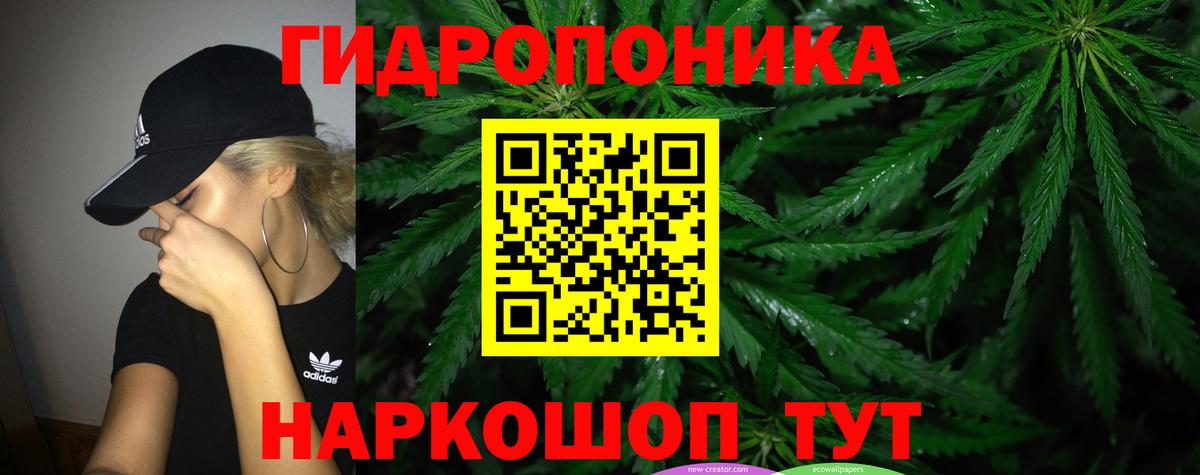 Конопля OG Kush Петропавловск-Камчатский